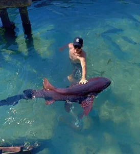 Plug_Controlのpara todosの枚の写真