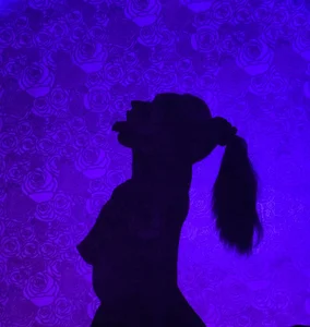 silhouette de TaylorDavids  7 photos