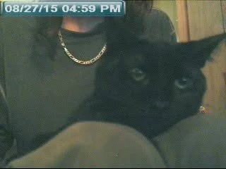 my fur babies over the years de Opondestre00420 Foto 5