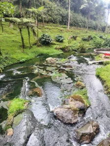 Sophia_wilsonn_のMy wonderful Colombiaの 7枚の写真