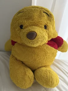 RAITO_ST プーさん Foto