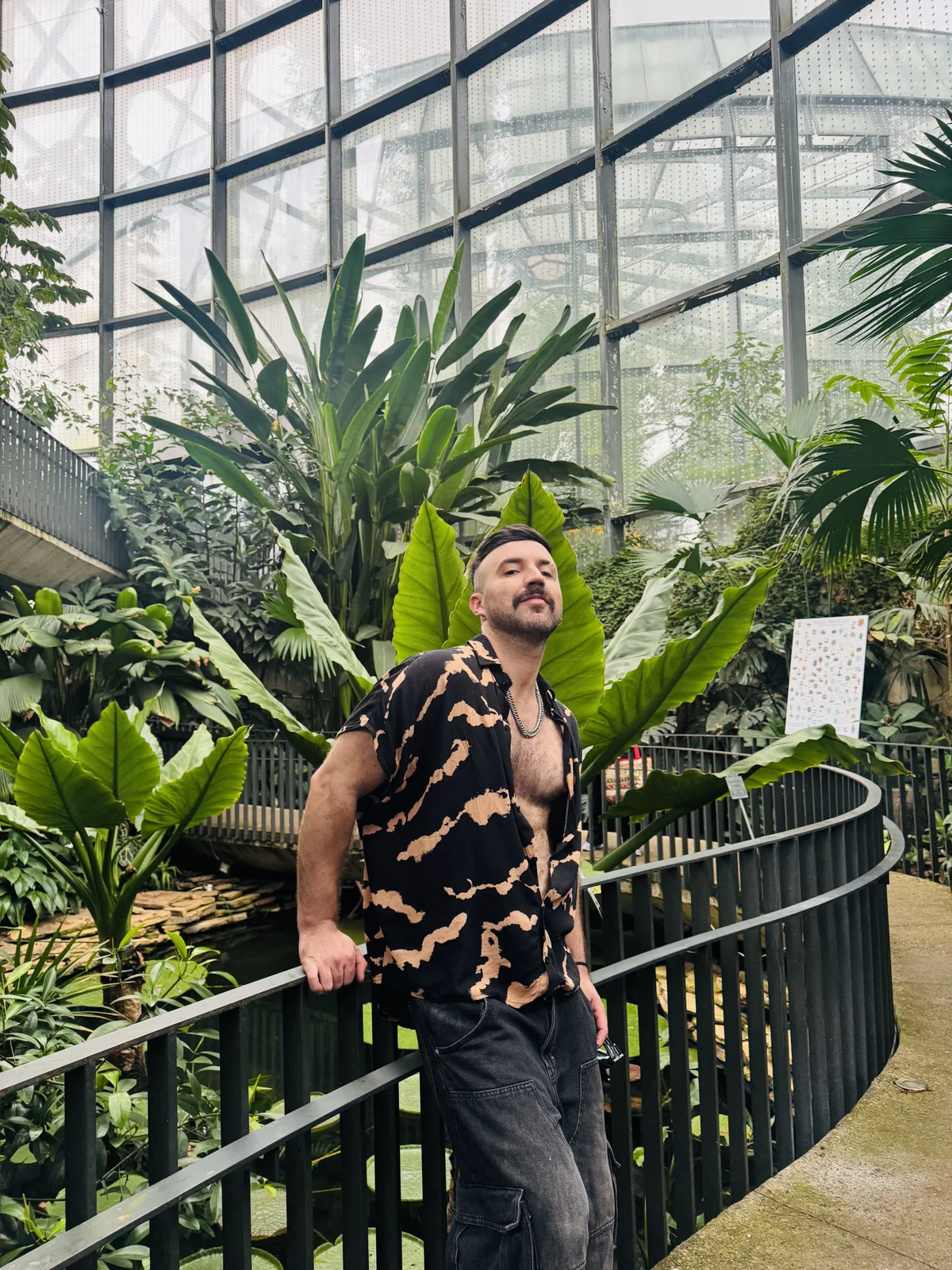 ADONIS_ART01 熱門圖片 8004