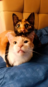 anaroman01 Art Day รูป  7