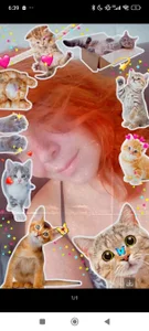 belligingerPublic图片