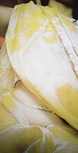 Tanya-mittal 😜😜 Pic