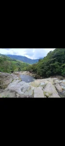 Annabell_Florez my escape spot, nature 💚💚💚 Pic