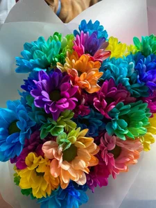 Piper-Lixx Public صورة واحدة|Piper-Lixx Public صورتان|Piper-Lixx Public  3 صور|Piper-Lixx Public  3 صورة