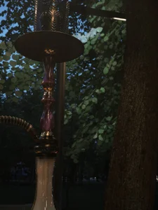 foxy_tease_ I take you with me on my day 😉 Bilde 2