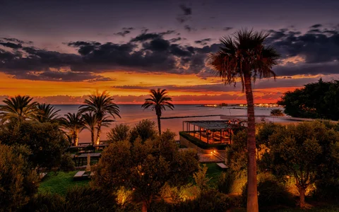 aavocadok Public Foto 9