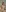 do you like women with glasses?