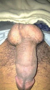 Lahcene kullanıcısının N1 albümü -  4 fotoğraf