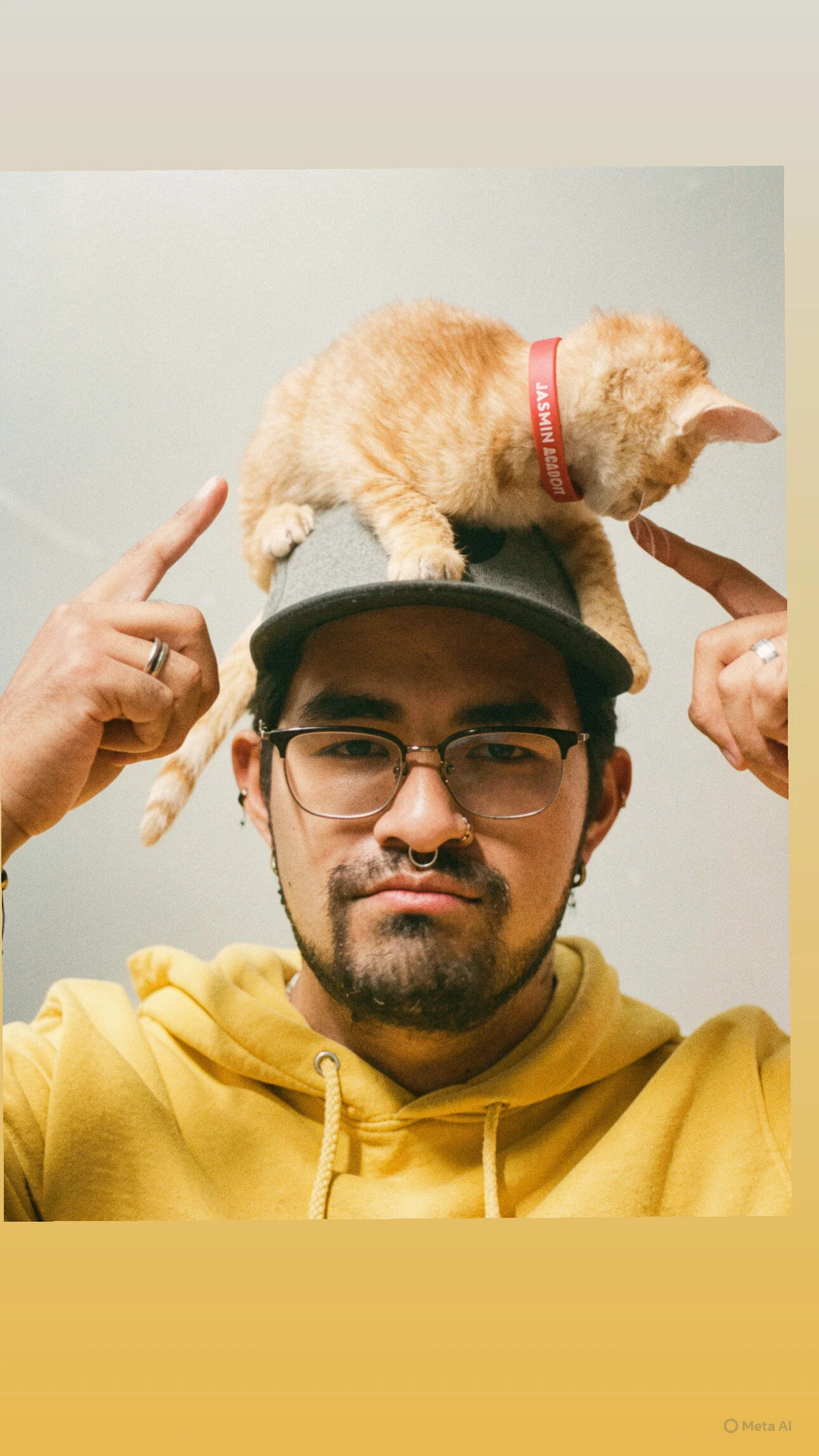 Ảnh Thịnh Hành của Alfred-Rein 4058