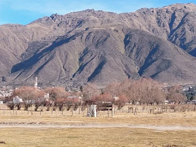 Libre de Lixxi_hotass  4 Imagens