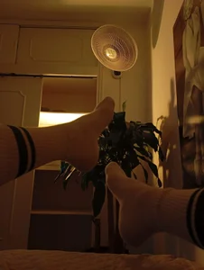 mrhot_night My first photos 사진 4