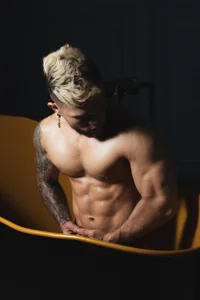 vincent_carusso94 Stallion Bilde 4