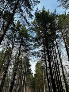 Ariana_Petite weekend Immagine  3