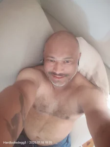 CrackedPanda5 Public Billede 9