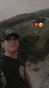 PRINSES24-7tiempo libre图片