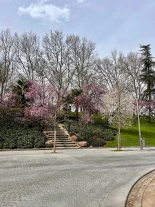 PaigePradoSpain Bild 6