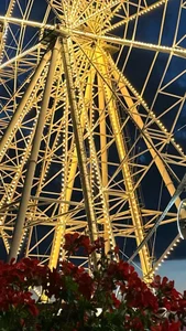 MelissaMelrey ❄️❄️❄️ Pic 3