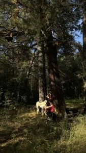 JennyFerguson enchanted forest😍 Gambar