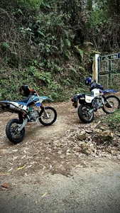 jeancarloscum12のNuevo inicioの枚の写真