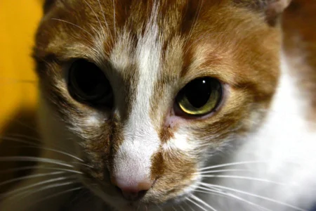 The loves of my life 🥹 de abbyhall_ Foto 5