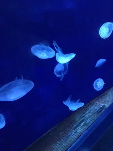 shiorin_3のPublicの 2枚の写真