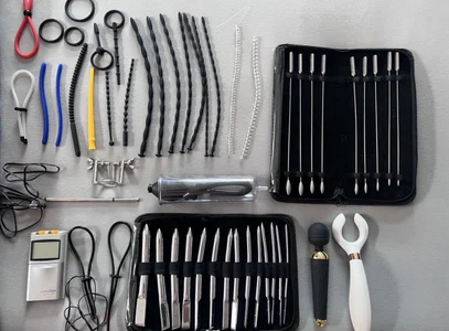 Public de Leitztester1  5 Imagens