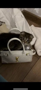 Public de TeriSchabbing Foto 3