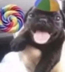 Tyler_durten: Public ( 7 фото)