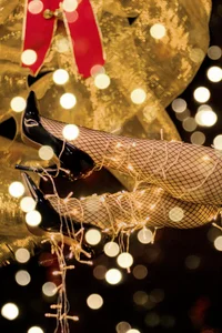 caroline_host Happy New Year2️⃣0️⃣2️⃣2️⃣ Bilde