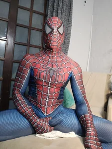 spider man de NycolasRJ  9 Imagens