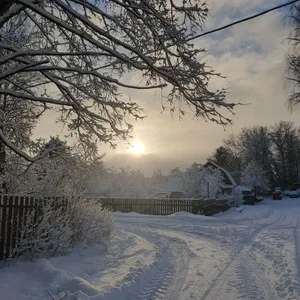 HollyGibson show vibe here Pic 5