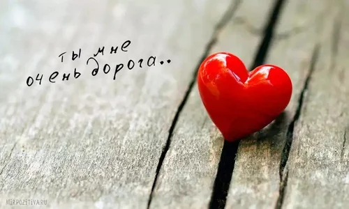 KosBi69 200%дамских секс желаний и самых 사진 3