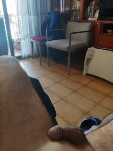 DauntedHumulin Public Kuva 6