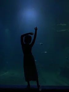 revalation_ Public Foto 2