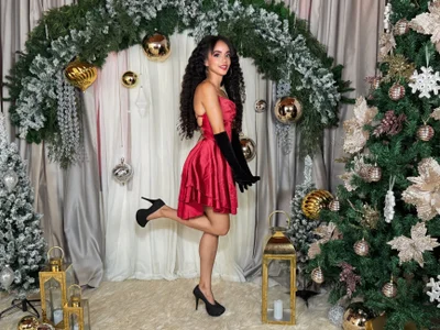 TerryGreenwood Merry Christmas Pic 4