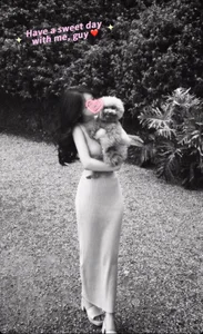 _Purefection Public Pic