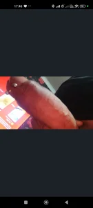 nades66 Public Kuva 2