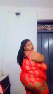 BBWMIDGET40 Public slika 5