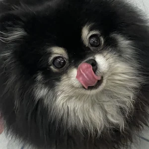 infinityconstellation Public 사진 8