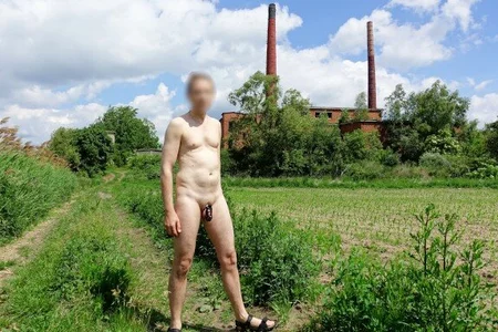 ExhibitPoll Fotki Pic 6