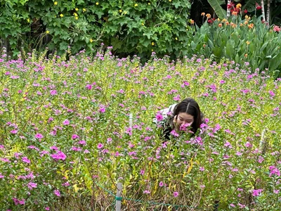 Sayababy Public Pic 3