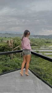 88 de Valesia  Imagens