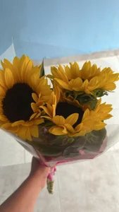 Caro_redd little gift 🌺🌺 Fotka