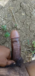 Ajith_mvi s صورة واحدة|Ajith_mvi s صورتان|Ajith_mvi s  3 صور|Ajith_mvi s  3 صورة