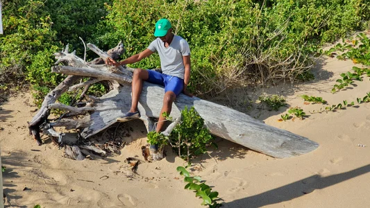 TheCaptainMerlin kullanıcısının Public albümü -  4 fotoğraf