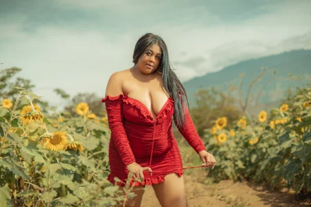 BiancaFollerach photos with beautiful sunflowers 🌻 사진 4