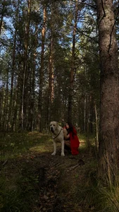 JennyFerguson enchanted forest😍 Gambar 5